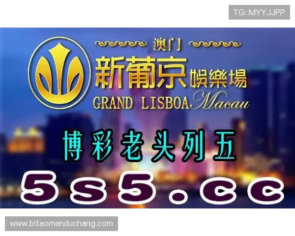掌握澳门彩手机版下载最新版本保障帐号安全畅享精彩的博彩娱乐内容